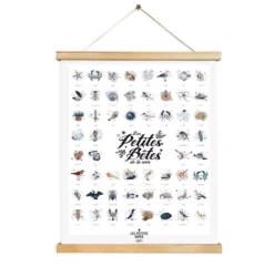 Affiche Les Petites Bêtes De La Mer