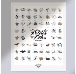Affiche Les Petites Bêtes De La Mer -Enfant Fournitures Boutique affiche a tamponner les petites betes de la mer les petites dates 5 1264x1234