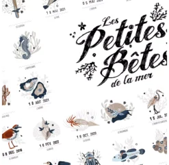 Affiche Les Petites Bêtes De La Mer -Enfant Fournitures Boutique affiche a tamponner les petites betes de la mer les petites dates 6 1264x1234