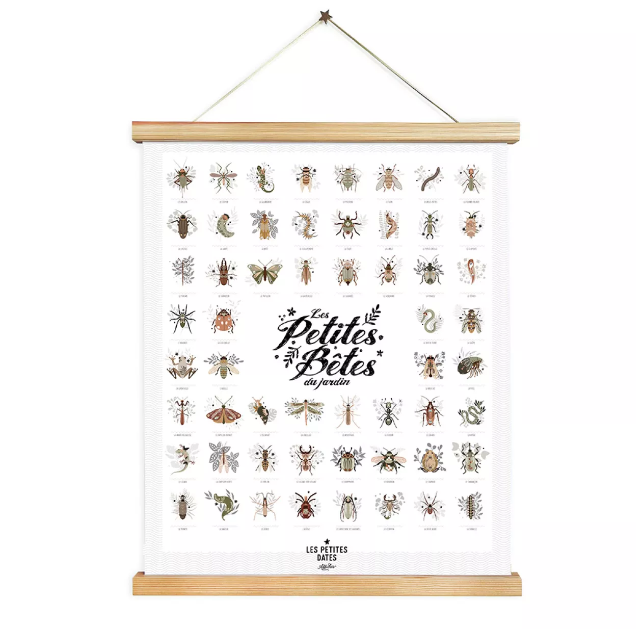 Affiche Les Petites Bêtes Du Jardin 3 Affiche Les Petites Bêtes Du Jardin