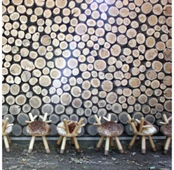 Chaise Enfant Bambi - Chêne/Noyer -Enfant Fournitures Boutique bambi chair chenenoyer elements optimal 6 1264x1234