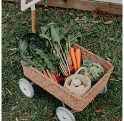 Chariot Wonder Wagon -Enfant Fournitures Boutique chariot wonder wagon olli ella 4 1264x1234