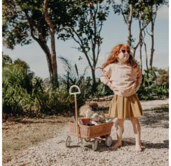 Chariot Wonder Wagon -Enfant Fournitures Boutique chariot wonder wagon olli ella 8 1264x1234