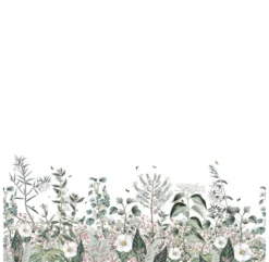 Papier Peint Botanical Garden -Enfant Fournitures Boutique decor mural botanical garden les dominotiers 5 1264x1234