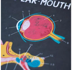 Jeu Inside Me -Enfant Fournitures Boutique jeu anatomie inside me londji 3a 1264x1234