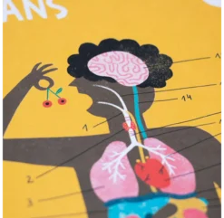 Jeu Inside Me -Enfant Fournitures Boutique jeu anatomie inside me londji 3b 1264x1234