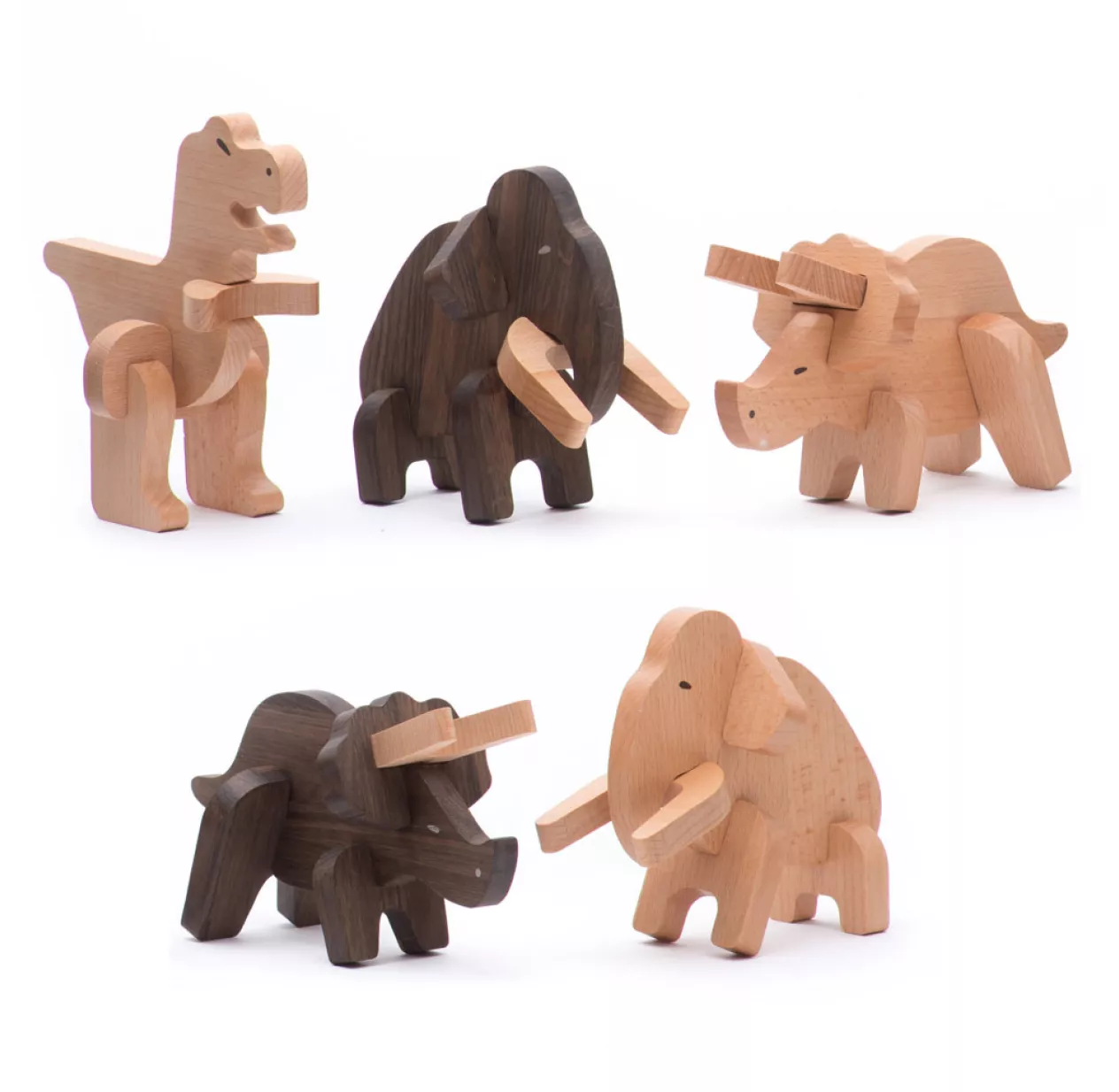 Puzzle Triceratops à Assembler - Chêne Foncé 6 Puzzle Triceratops à Assembler - Chêne Foncé – Image 4