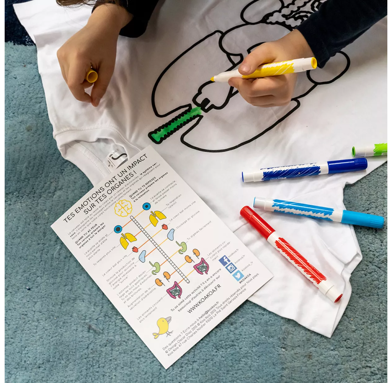 T-shirt à Colorier Anatomie - Kit DIY 6 T-shirt à Colorier Anatomie - Kit DIY – Image 4