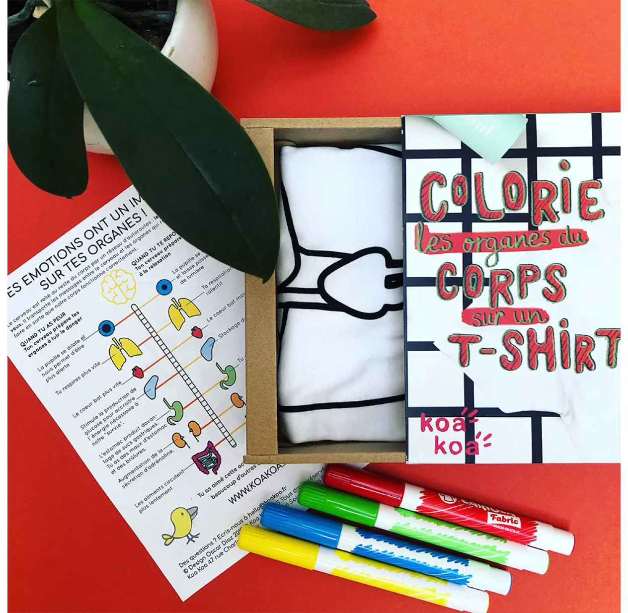 T-shirt à Colorier Anatomie - Kit DIY 7 T-shirt à Colorier Anatomie - Kit DIY – Image 5