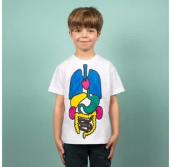 T-shirt à Colorier Anatomie - Kit DIY 13 T-shirt à Colorier Anatomie - Kit DIY -Enfant Fournitures Boutique t shirt coloriage anatomie organes koa koa 6 1264x1234