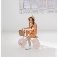 Tricycle Trike - Rose Pâle -Enfant Fournitures Boutique tricycle trike banwood rose 8 1264x1234