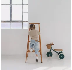 Tricycle Trike - Vert Foncé -Enfant Fournitures Boutique tricycle trike banwood vert 8 1264x1234